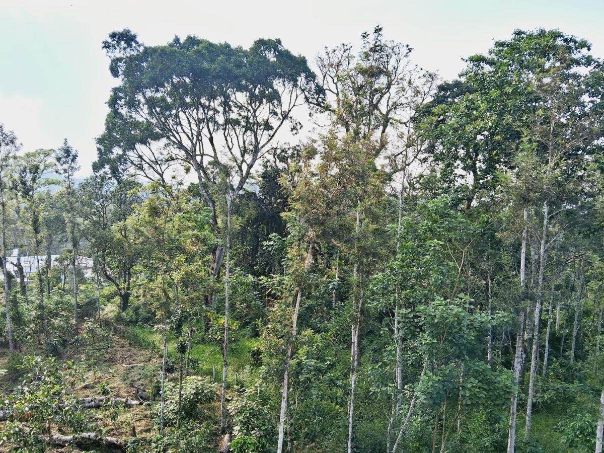 Holiday home Coorg Teakwood Treasure