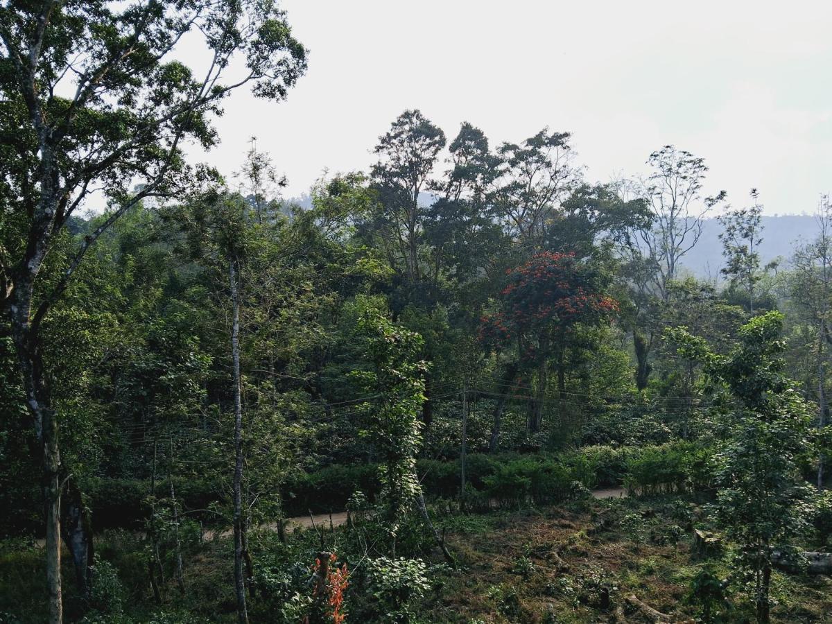 Holiday home Coorg Teakwood Treasure Madikeri