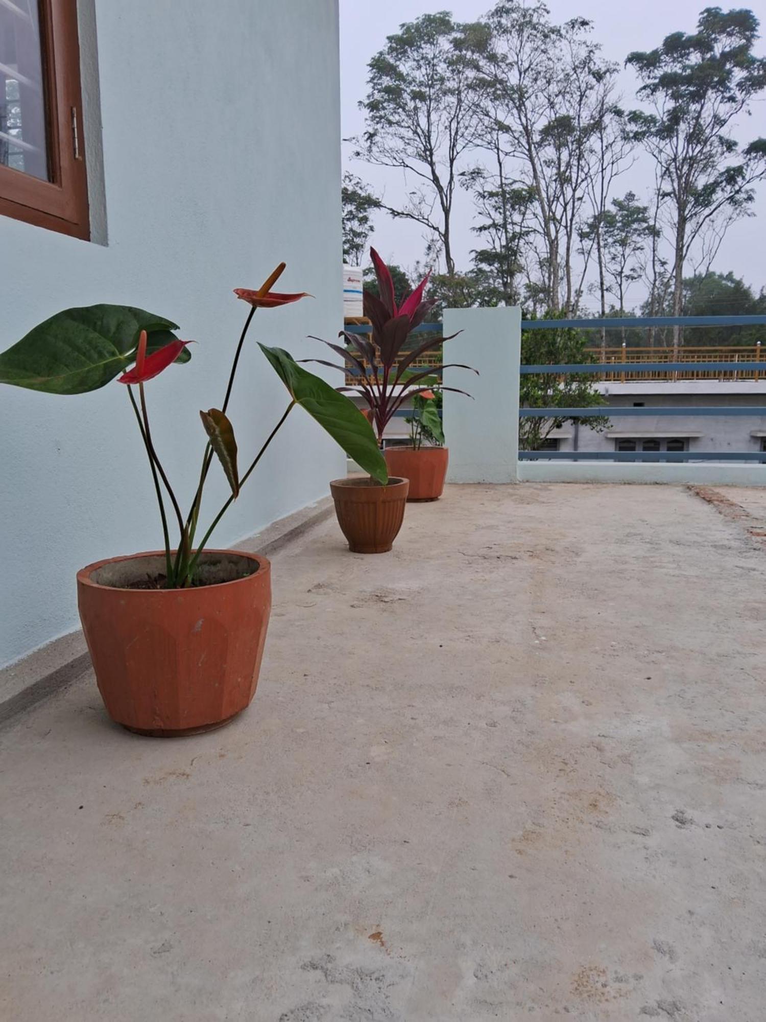 Coorg Teakwood Treasure *